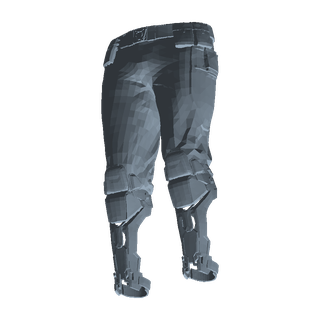 Lynx Legs