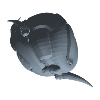 Bokto Helmet