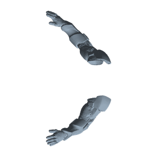Testudo Arms