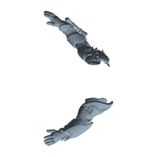 Testudo Arms Deathblow