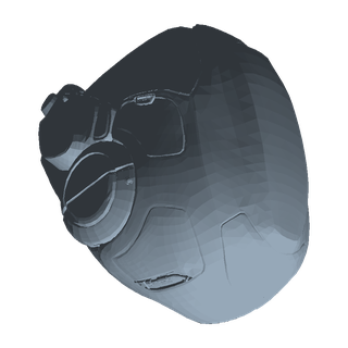 Testudo Helmet