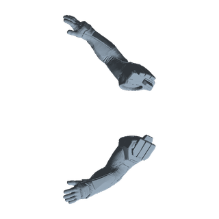 Palatino Arms