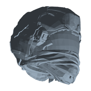 Why Not? Flight Helmet