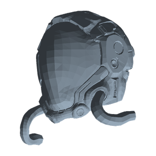 Inmate Work Helmet